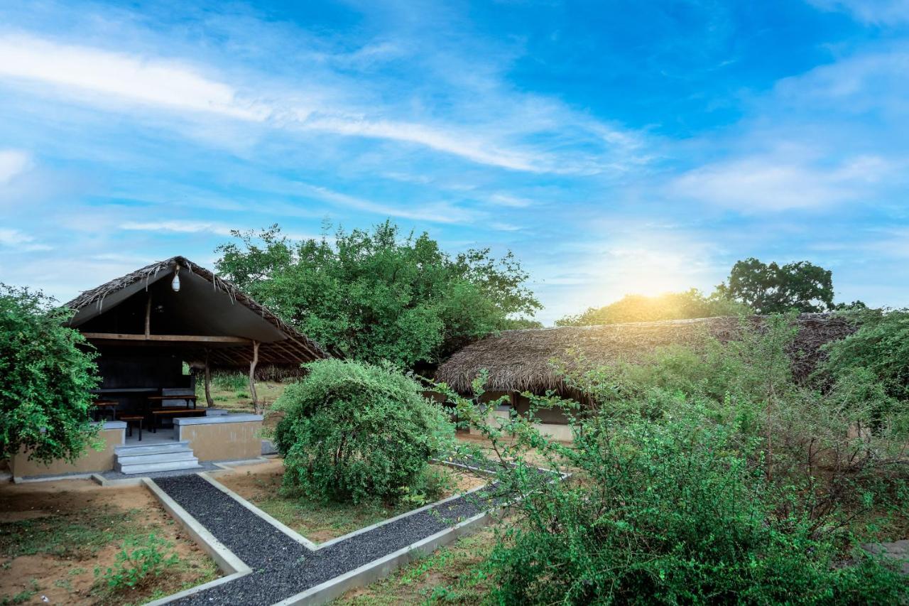 Hotel Yala Wild Hut - Yala Tissamaharama Exterior foto